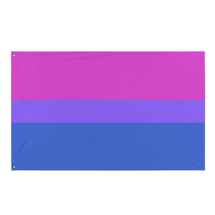 Bi Pride Flag product image (1)