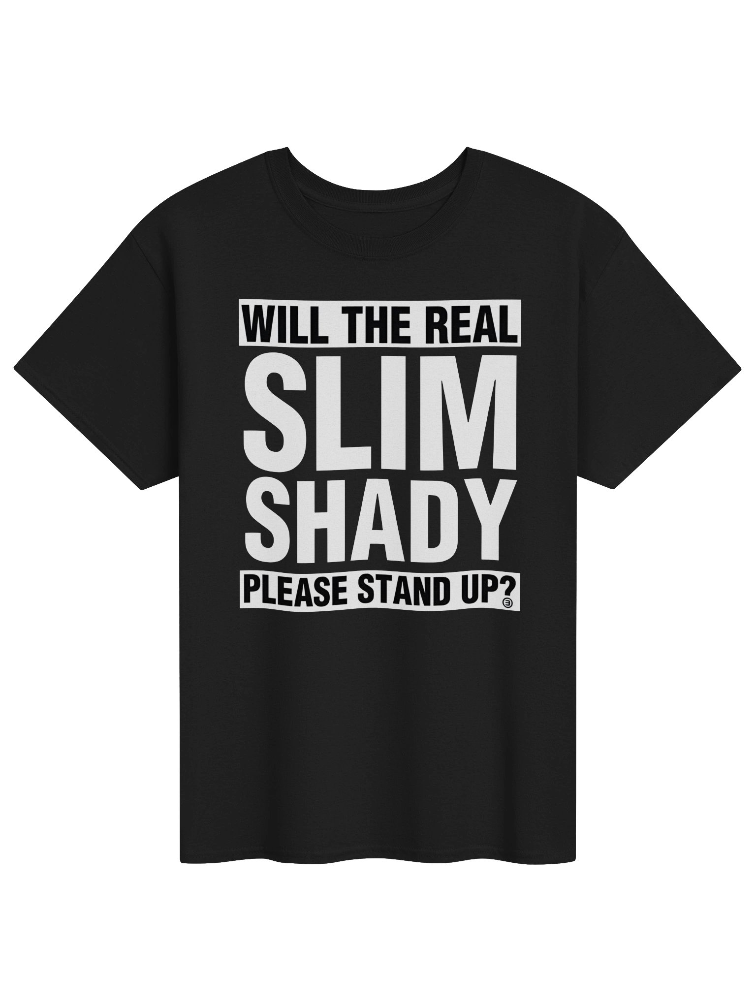 Please Stand Up Eminem T-Shirt product image (1)
