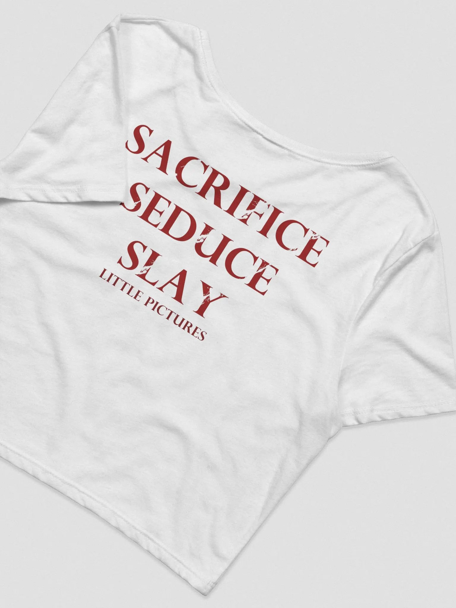 Spooky Sacrifice Crop Tee product image (21)