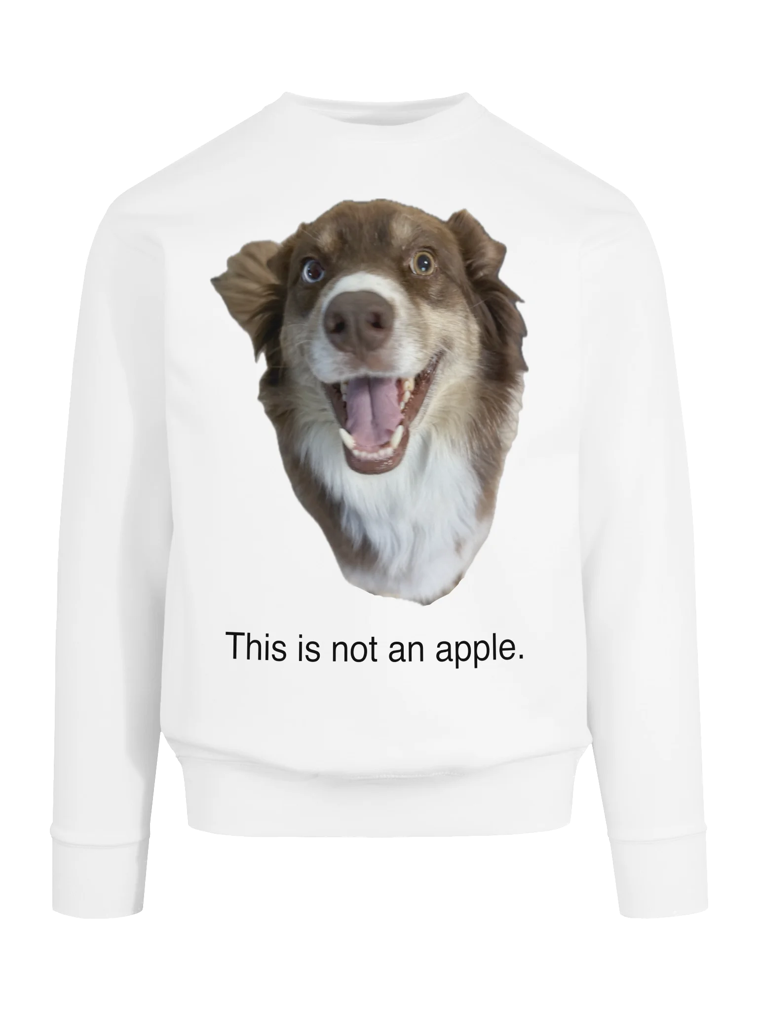 THIS IS STILL A DOG. product image (8)