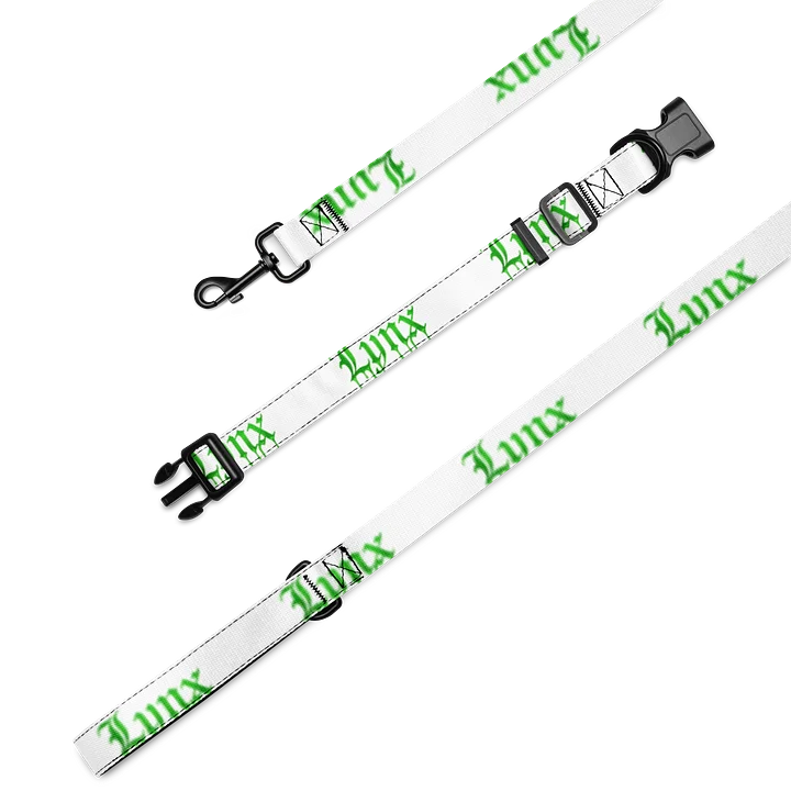Lynx Collar Leash product image (2)