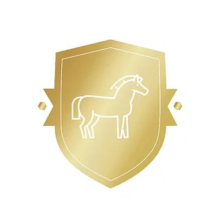 Get Good With Horses Merchandise 