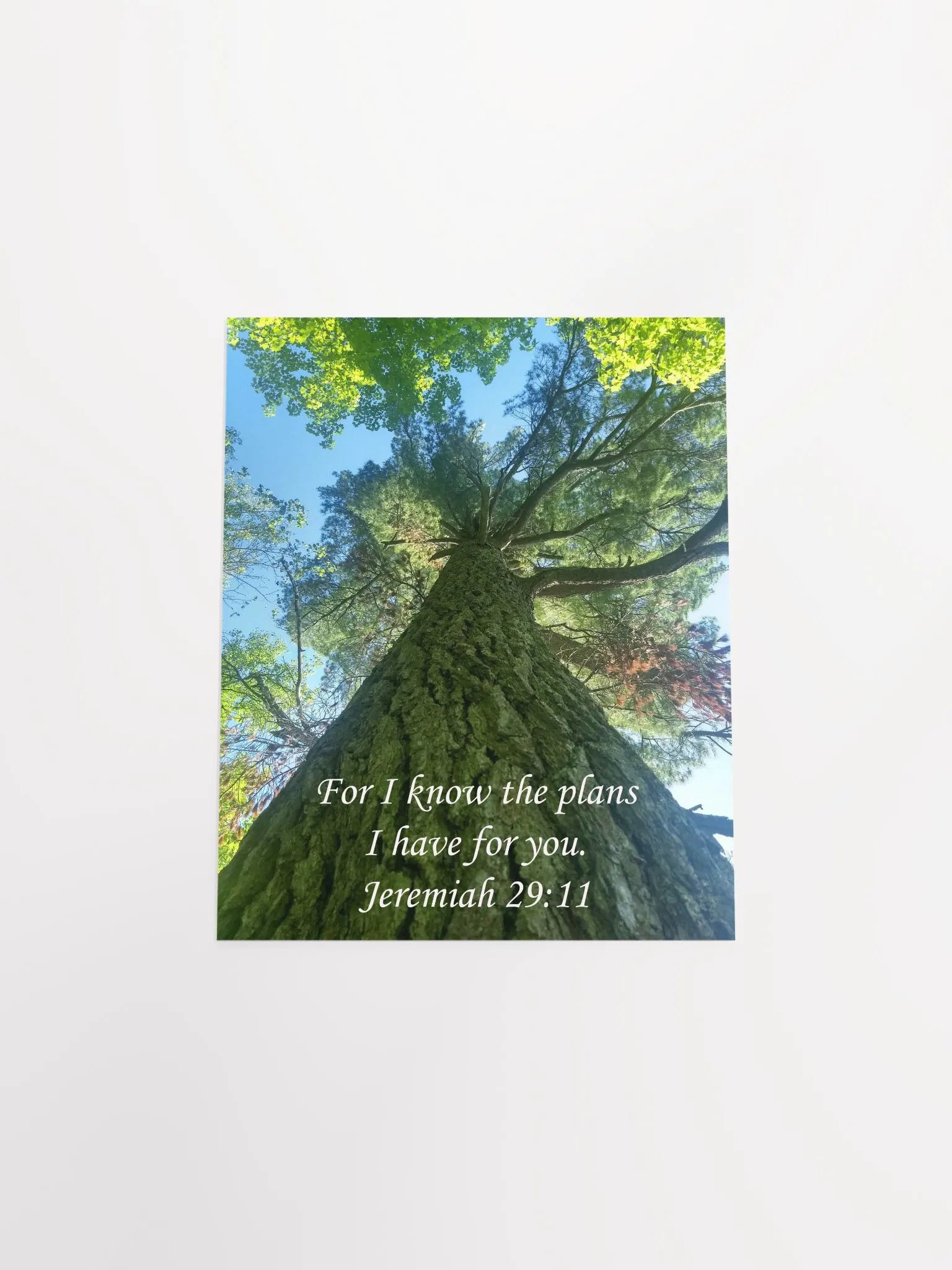 I Know the Plans - Print product image (4)
