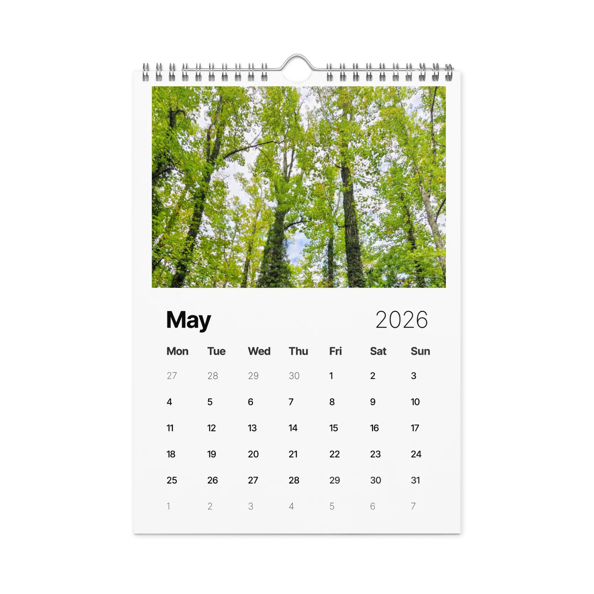 Canopy of Time: 2026 Wall Calendar product image (10)