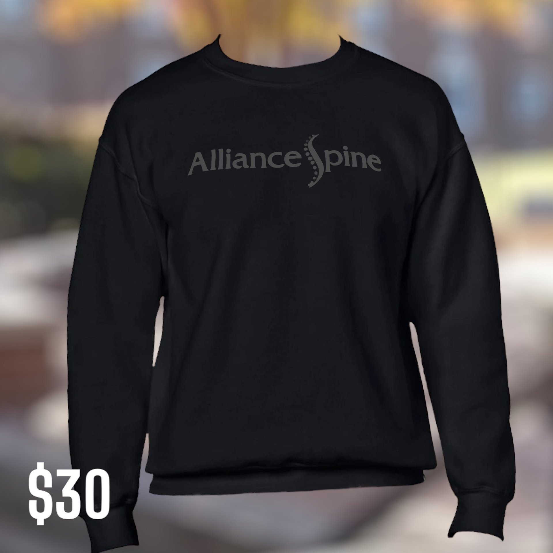 ASP Teaminator Crew Neck Sweatshirt product image (1)