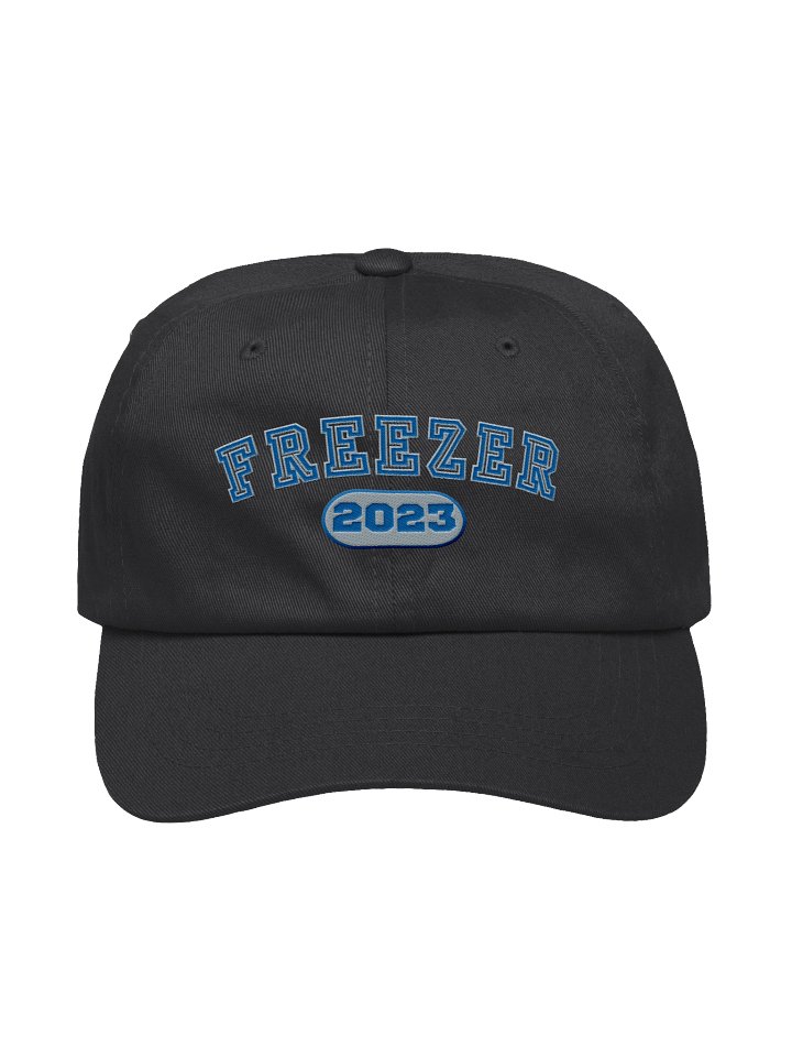 Freezer Dad Hat product image (3)