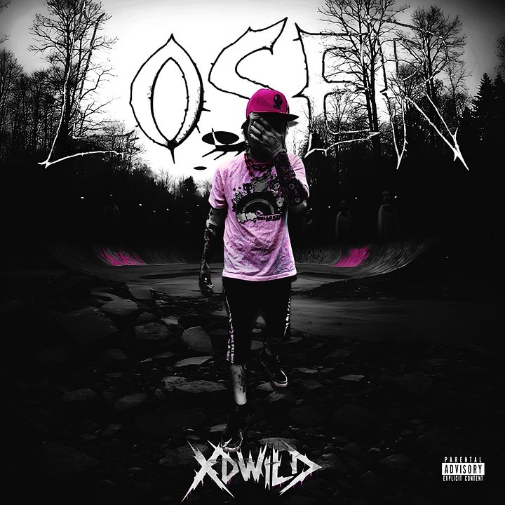 LOSER Album (10 BONUS SONGS) product image (2)