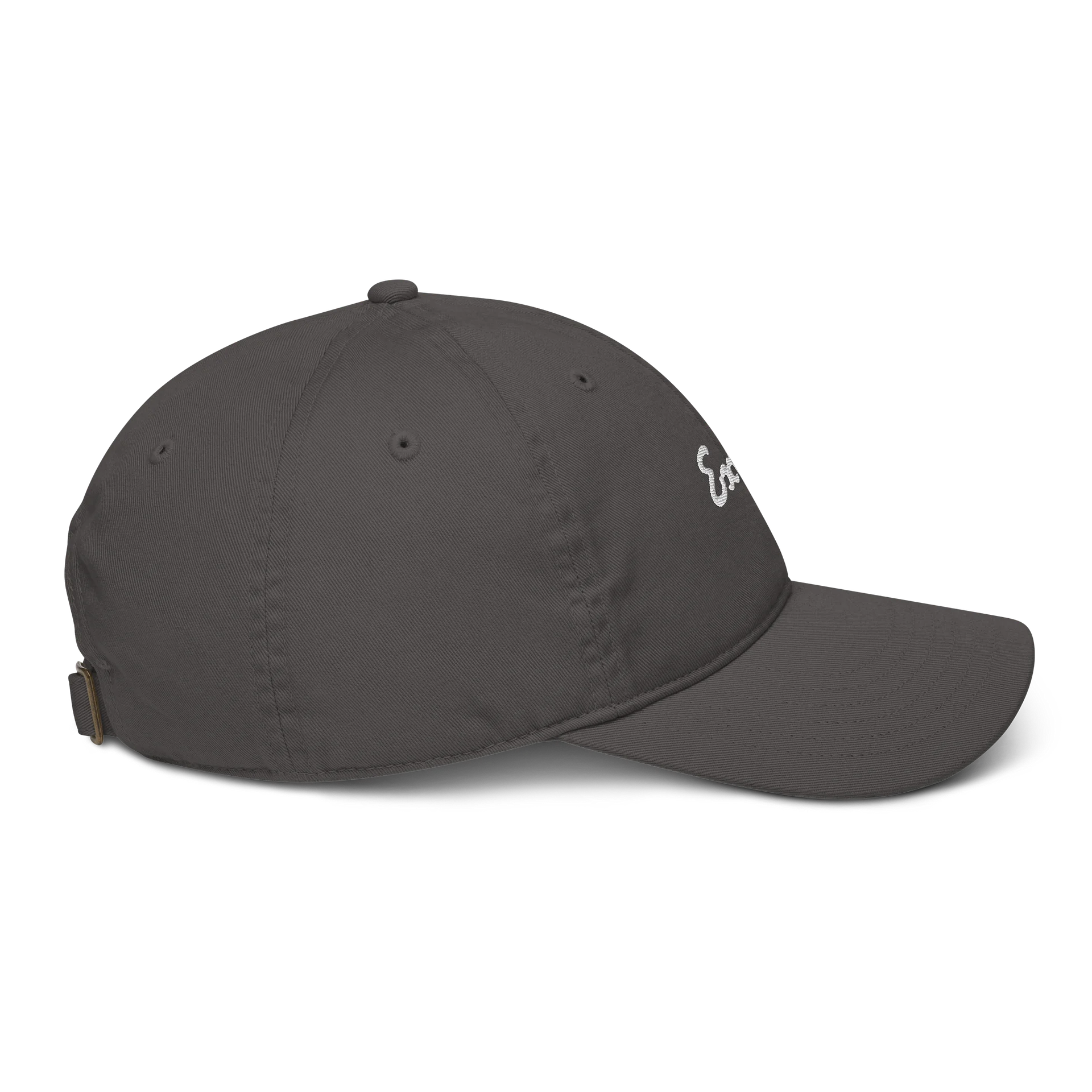 Dad Hat product image (17)