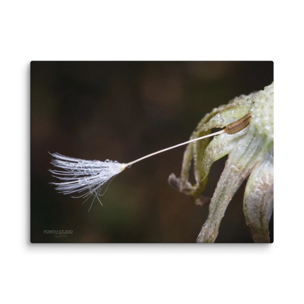One Last Wish - Print On Canvas product image (1)