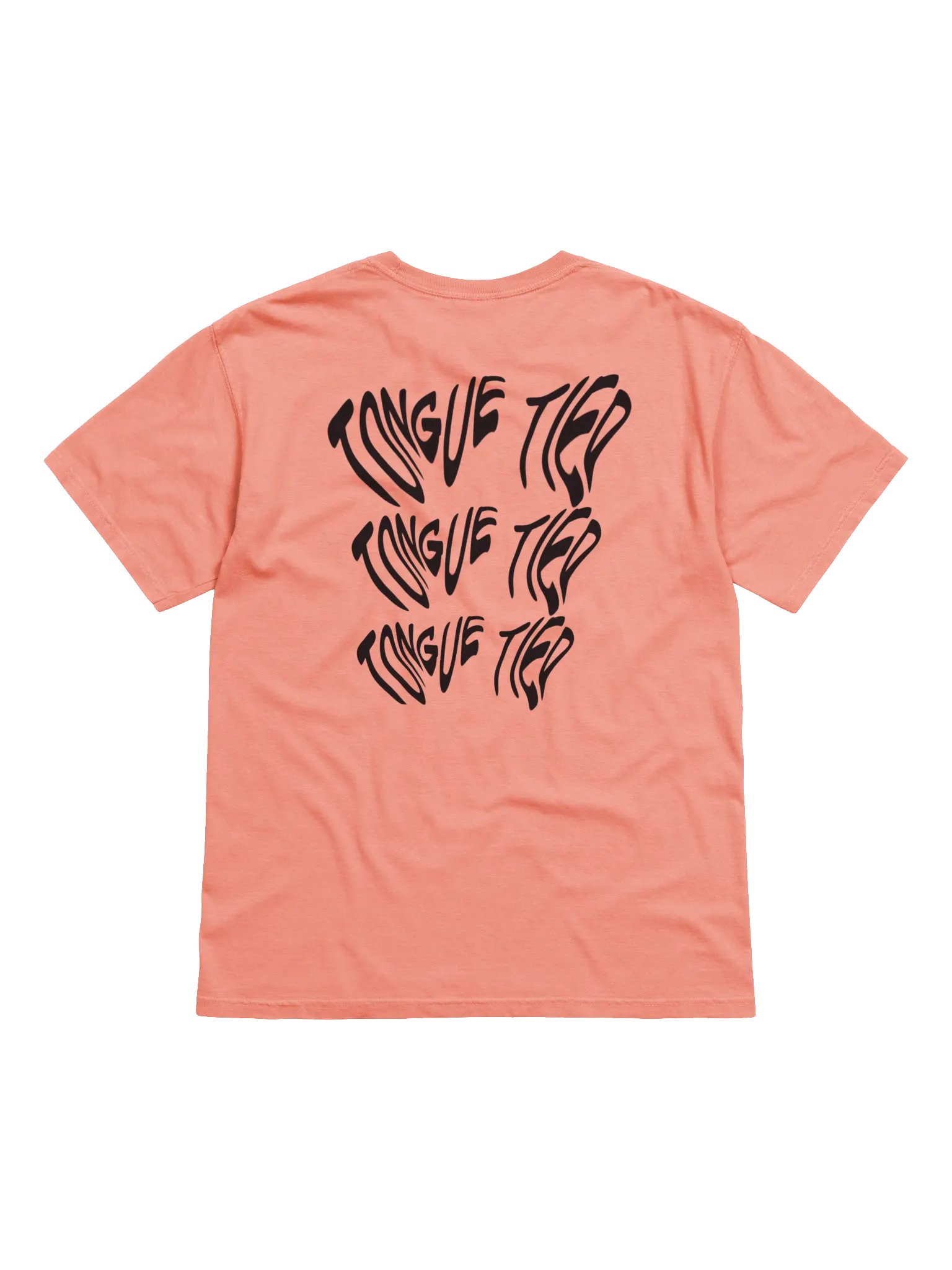 PARASYM Tee product image (22)