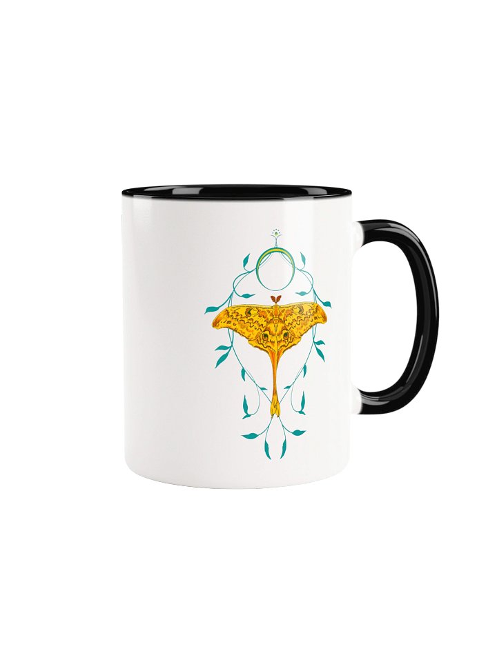 Madagascan Moon Moth product image (6)