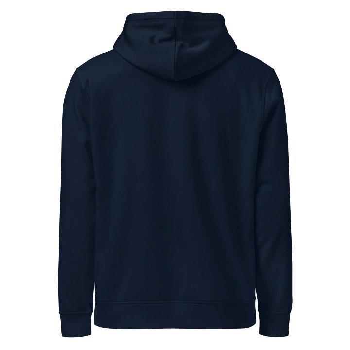 Healthy Wealthy Vegan Hoodie product image (2)