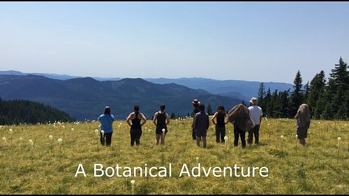 Important Life Skills 

We are now accepting applications for our 43rd annual 2027 Spring Apprenticeship Program starting in ...