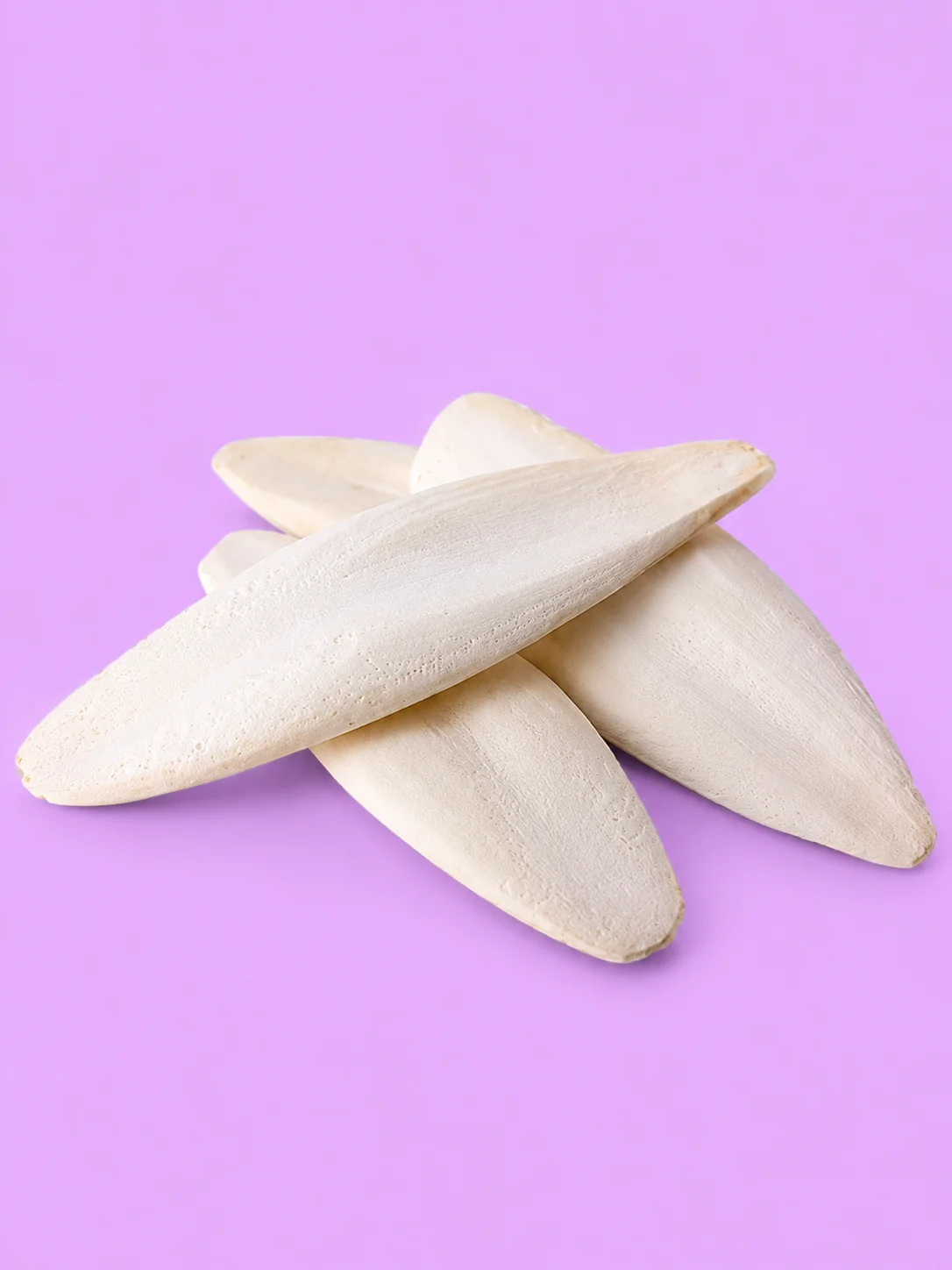 Cuttlebone product image (2)