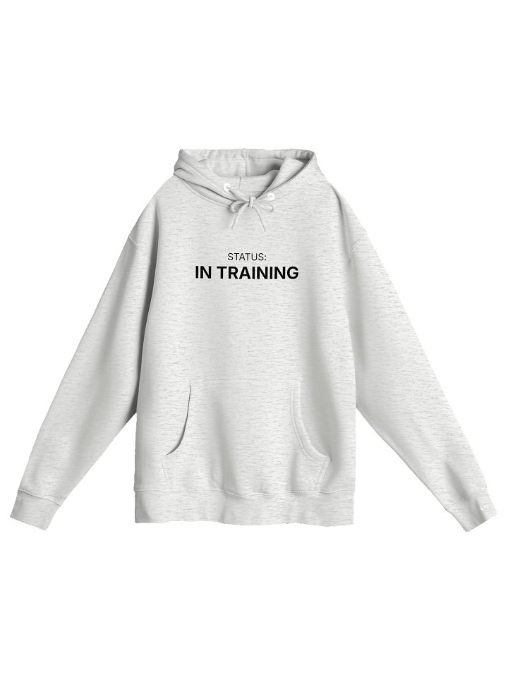 STATUS: IN TRAINING | Professional Identity Hoodie product image (1)