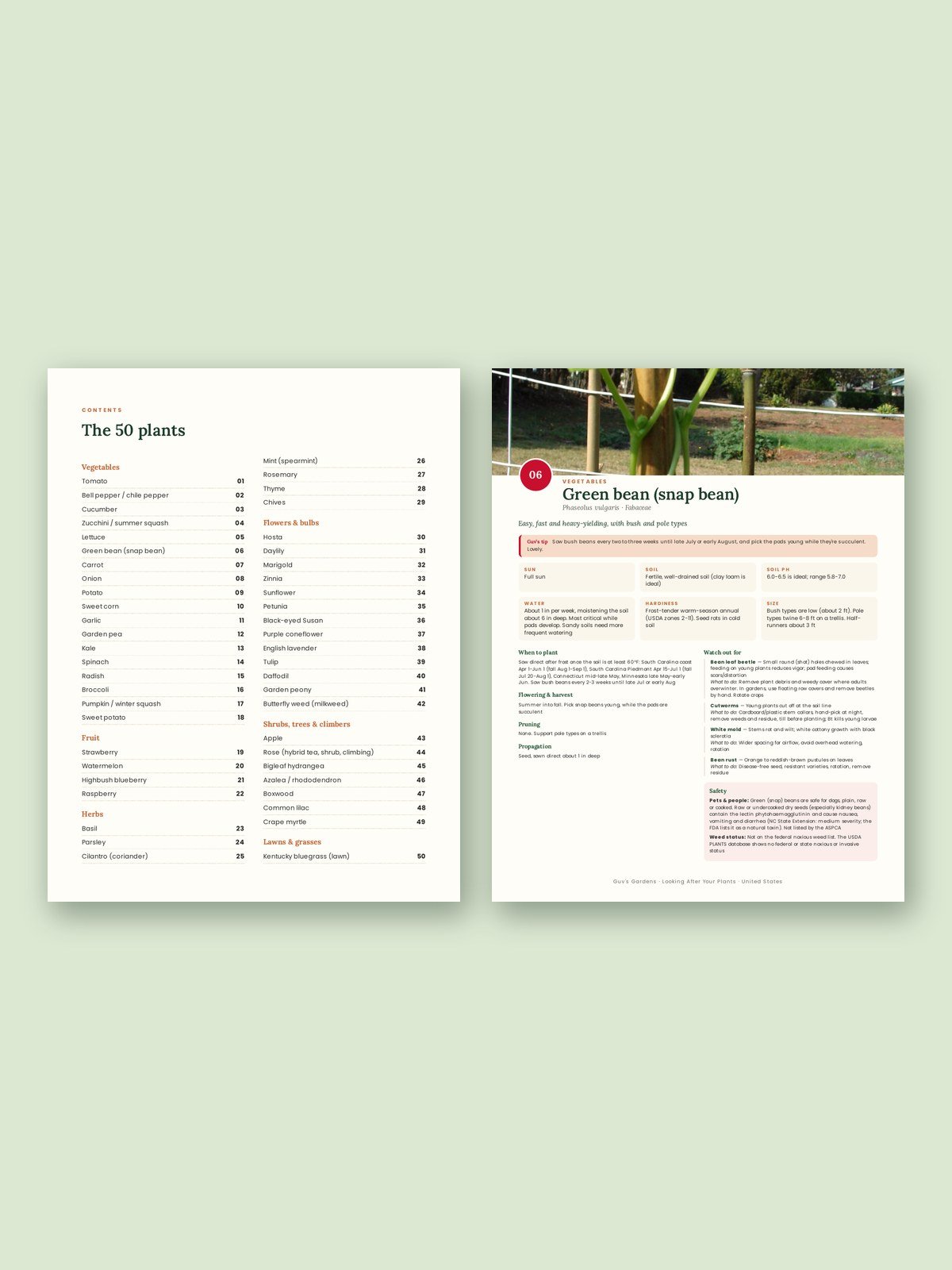 Looking After Your Plants (USA Edition) product image (2)