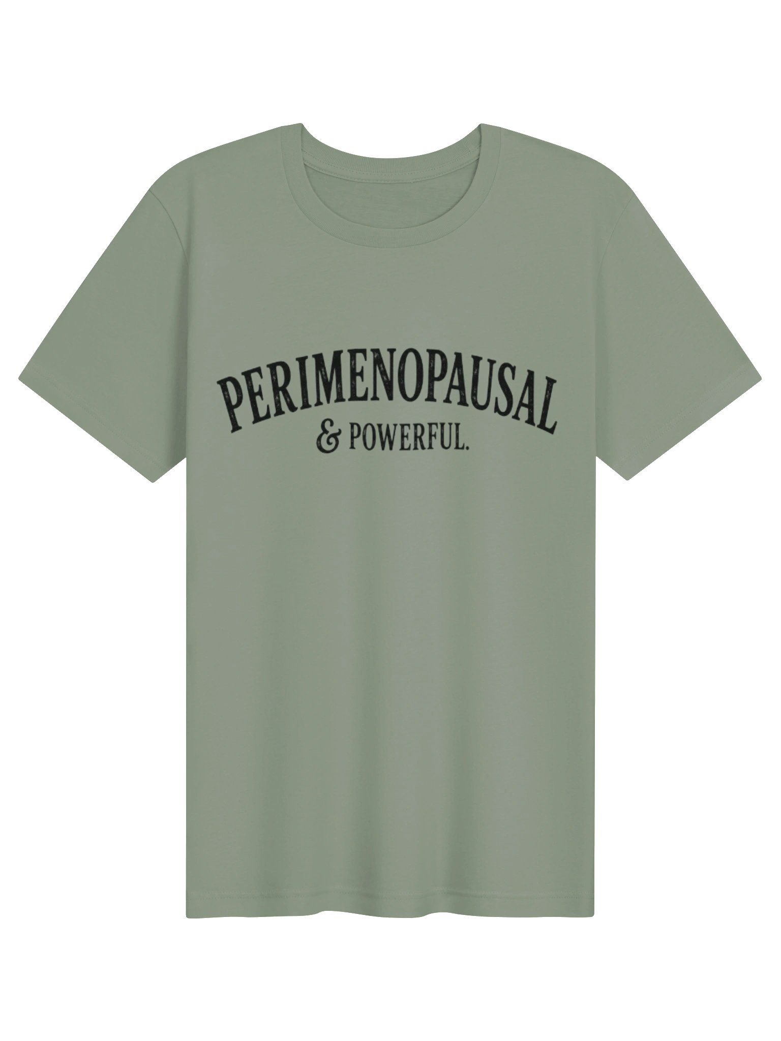 Perimenopausal & Powerful | Vintage Perimenopause Graphic Tee product image (16)