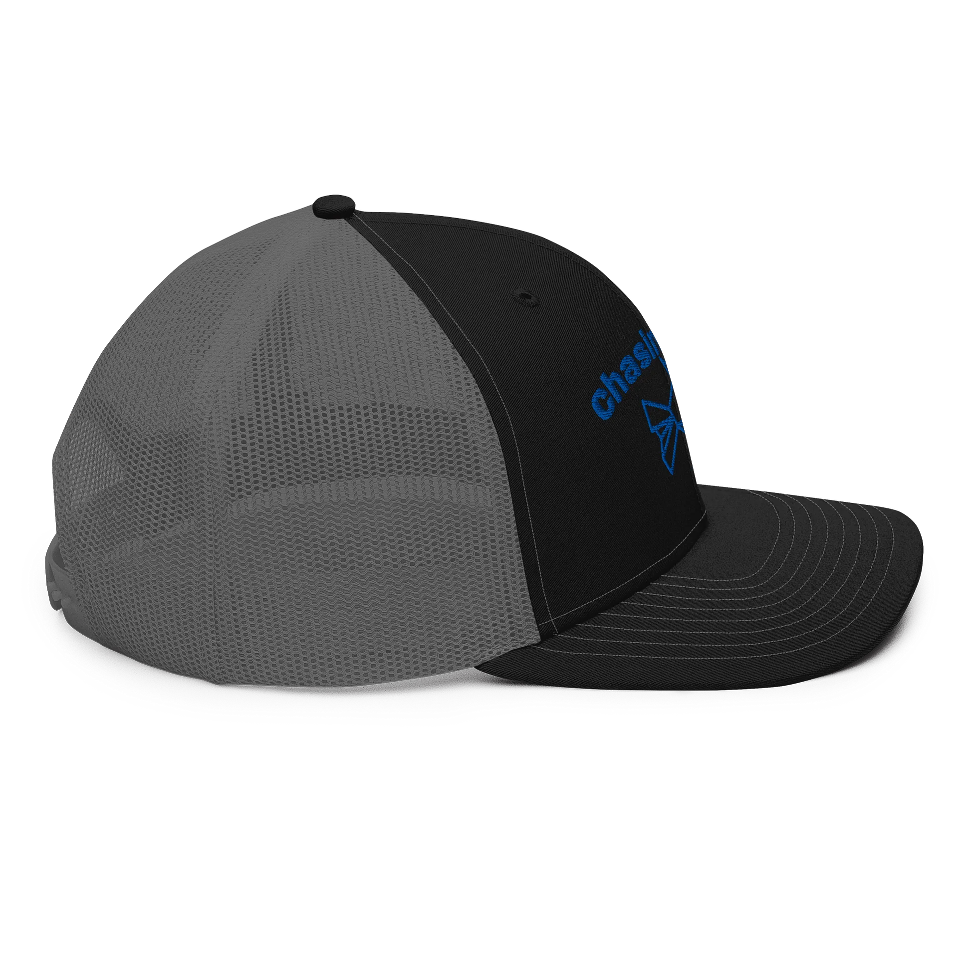 Chasing tail product image (5)