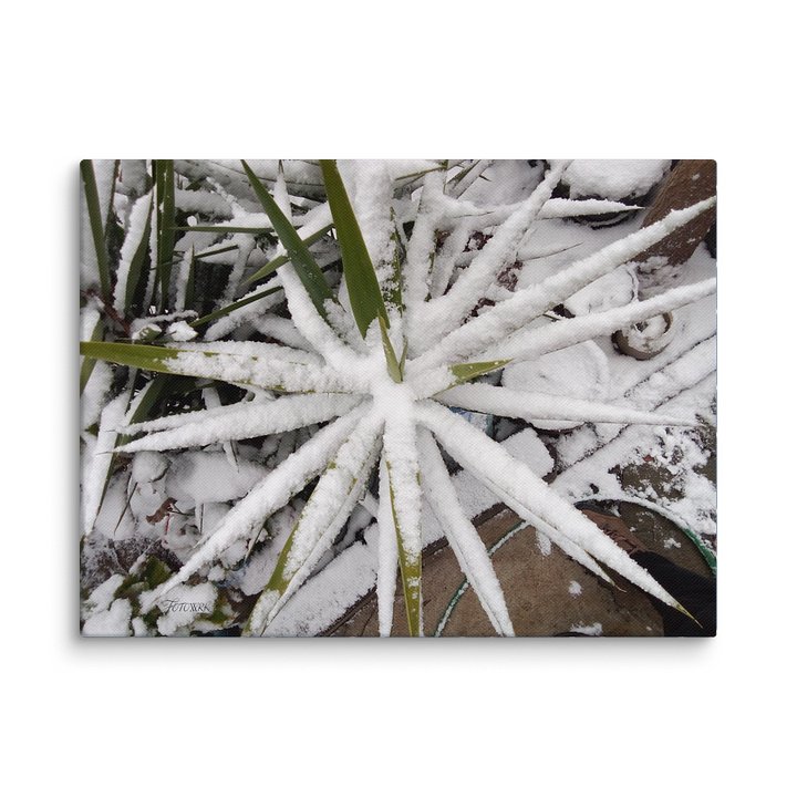 The Frostforged Sentinel – Fine Art Canvas product image (1)