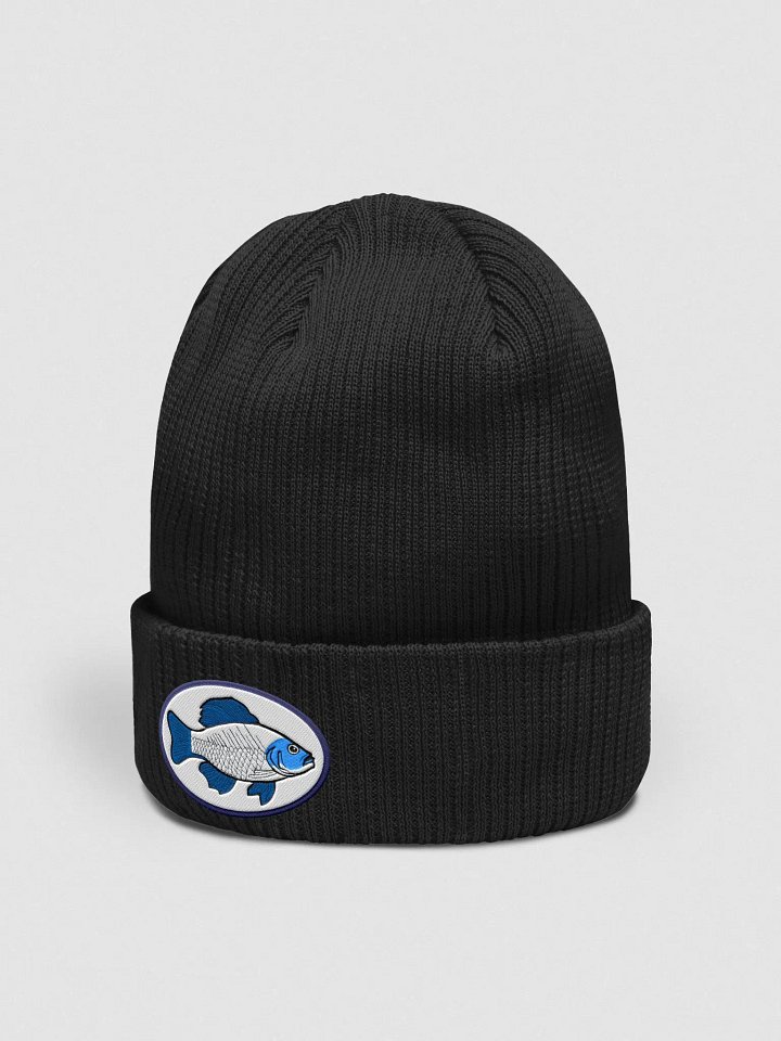 Fish Beanie product image (2)