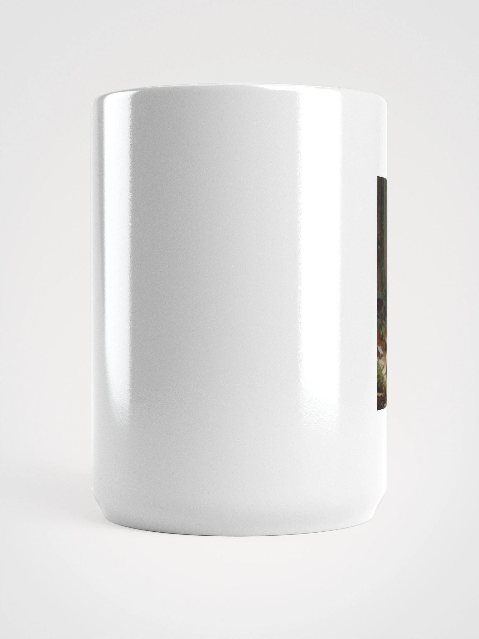 Cat product image (5)