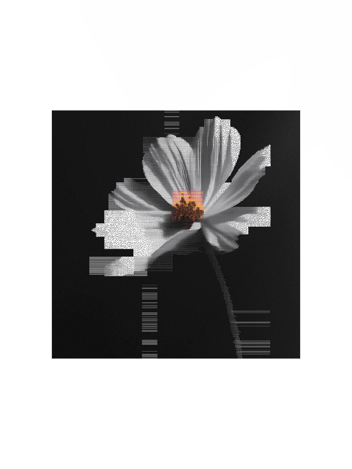 Flora.exe product image (4)