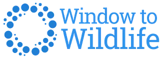 WindowtoWildlife