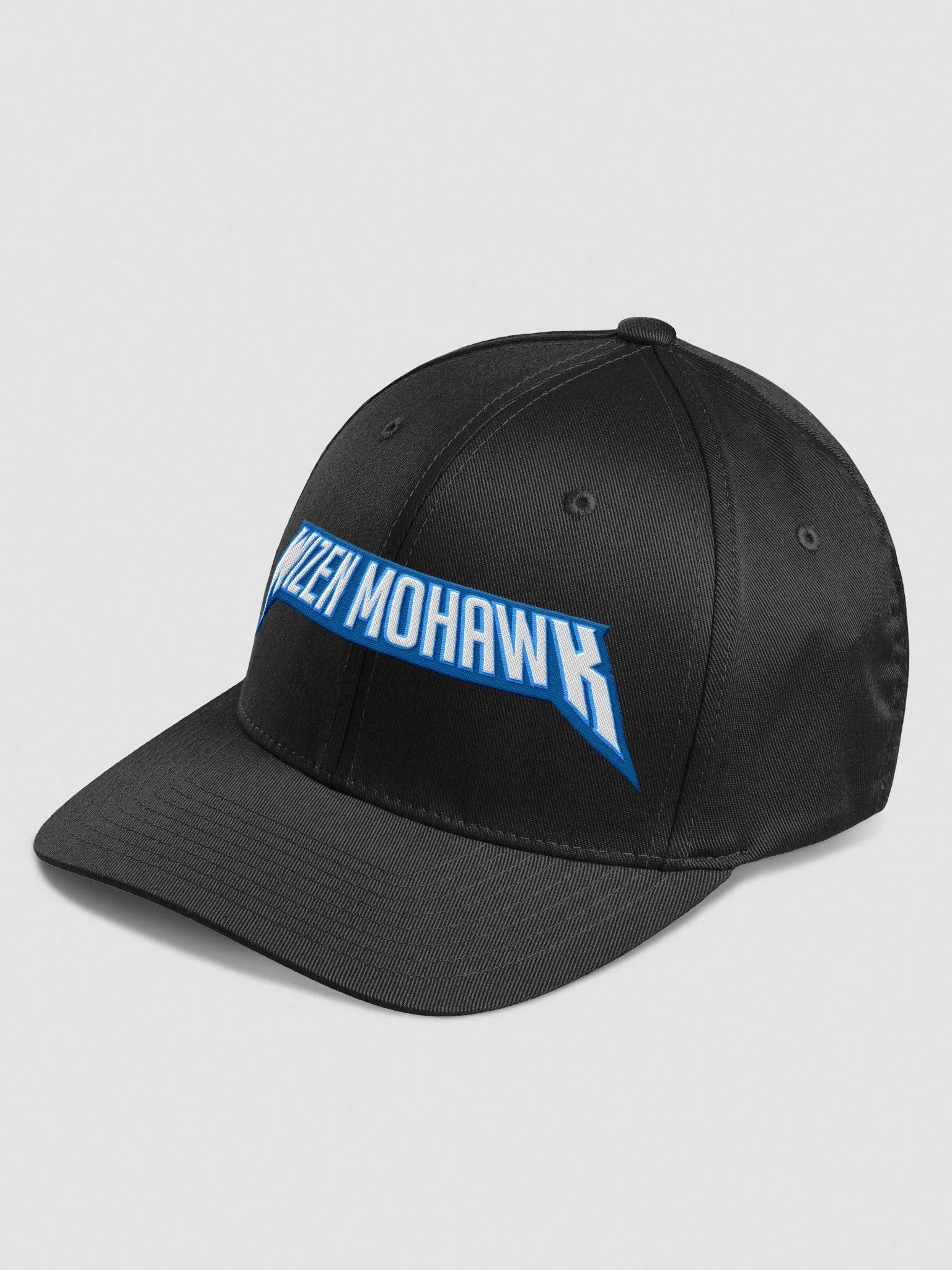 Fitted Hat (Black) product image (2)