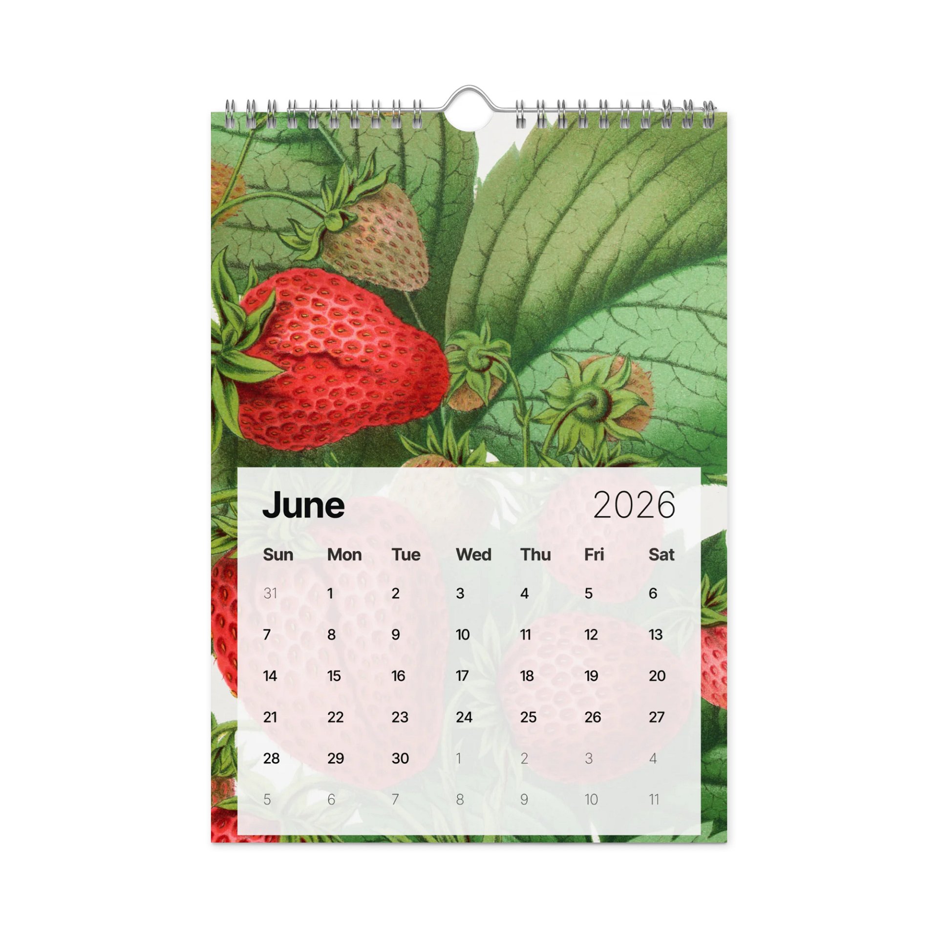 DK 2026 Wall Calendar product image (7)