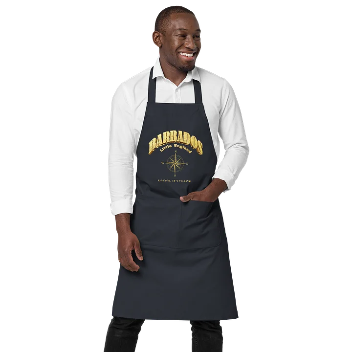 Compass - Barbados - Vintage Gold | Organic Cotton Apron | 4 Colors product image (1)