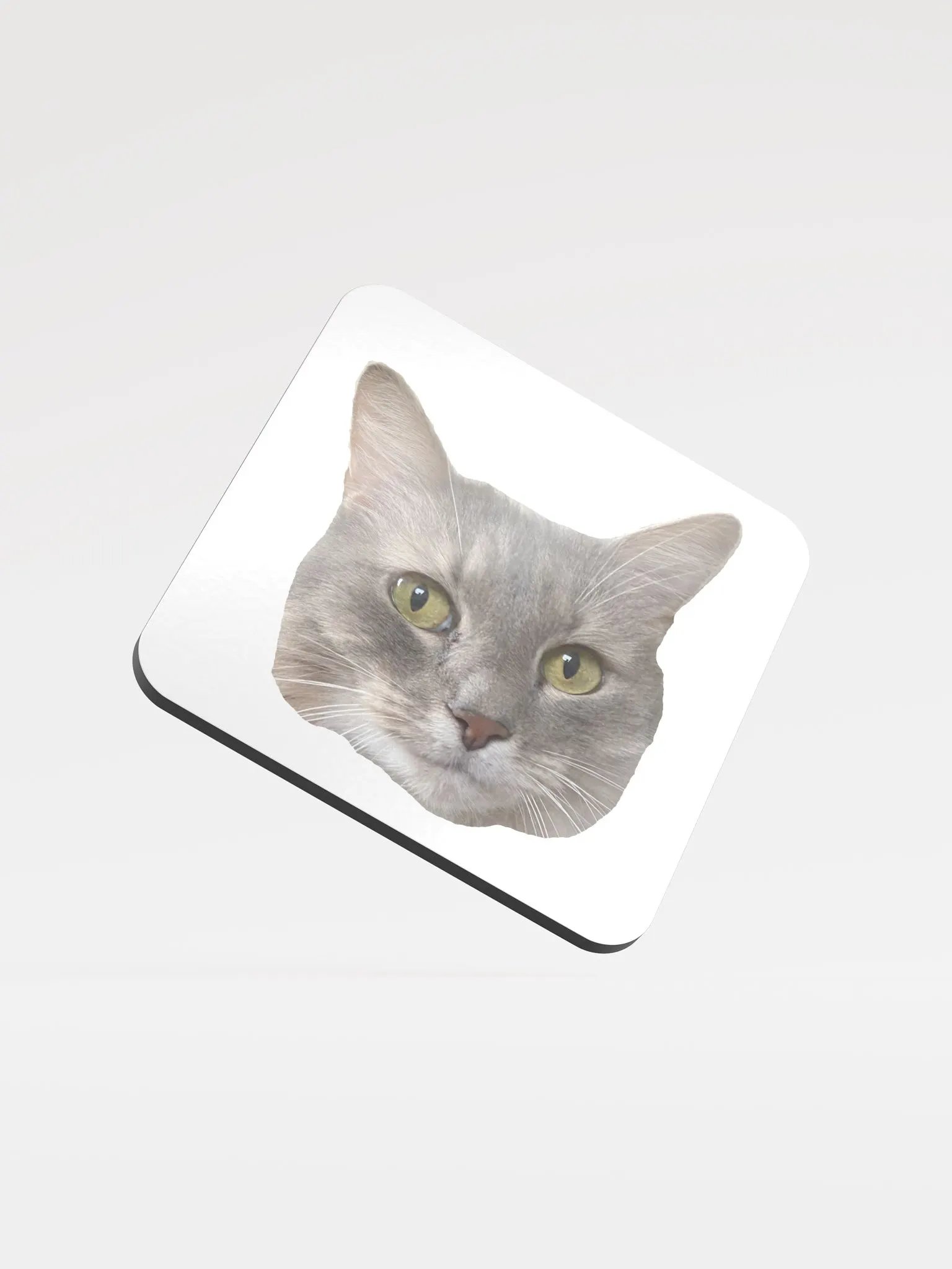 Cas Coaster product image (1)