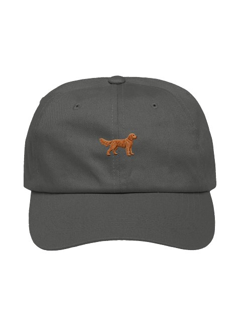 Atticus — Goldendoodle Hat