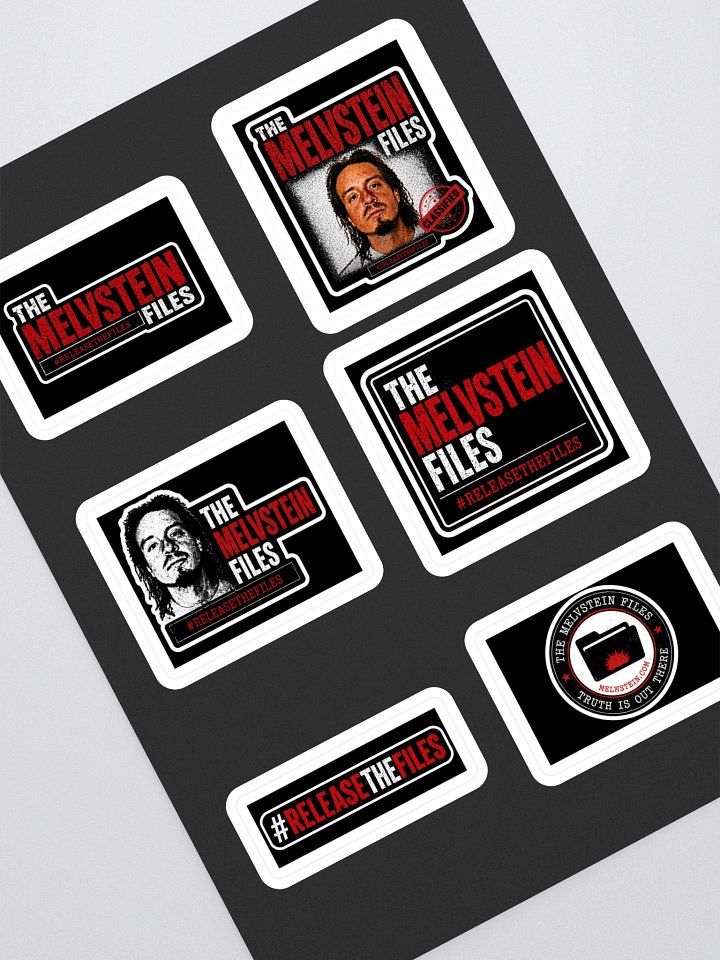 CASE FILE #001 — MELVSTEIN FILES STICKER product image (1)