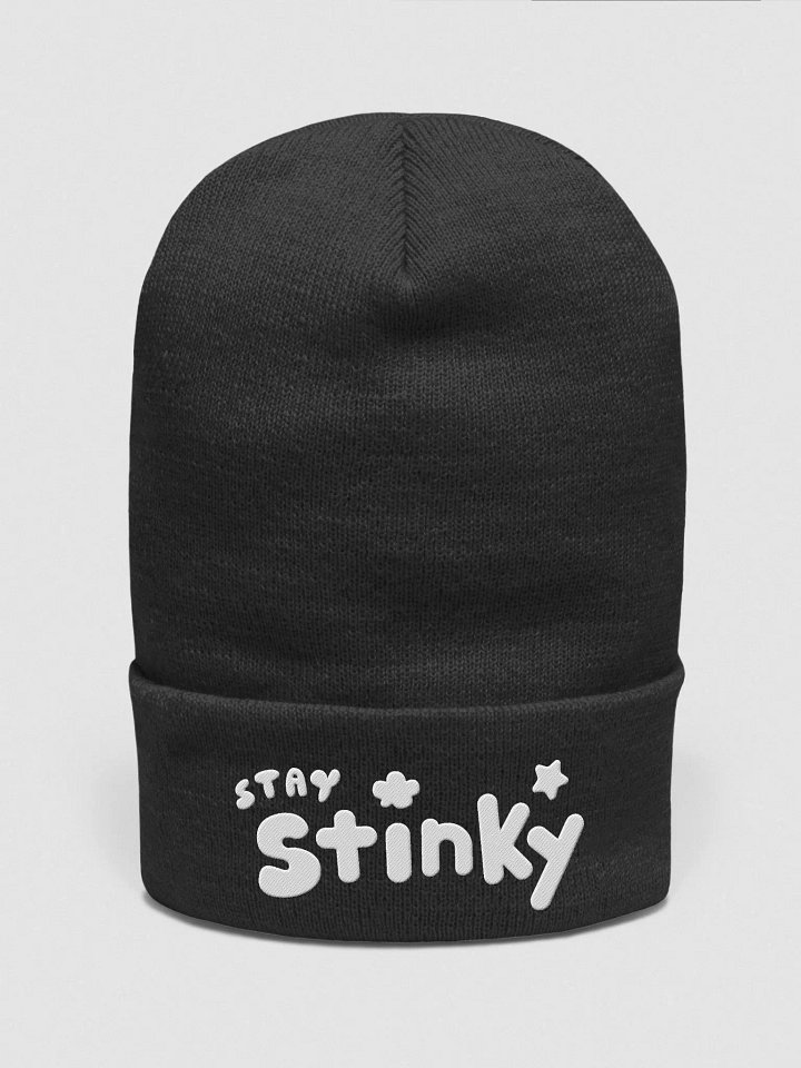 Stay Stinky Beanie product image (1)