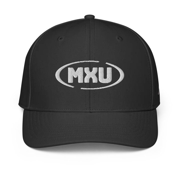 Alpha Dad Performance Hat product image (1)