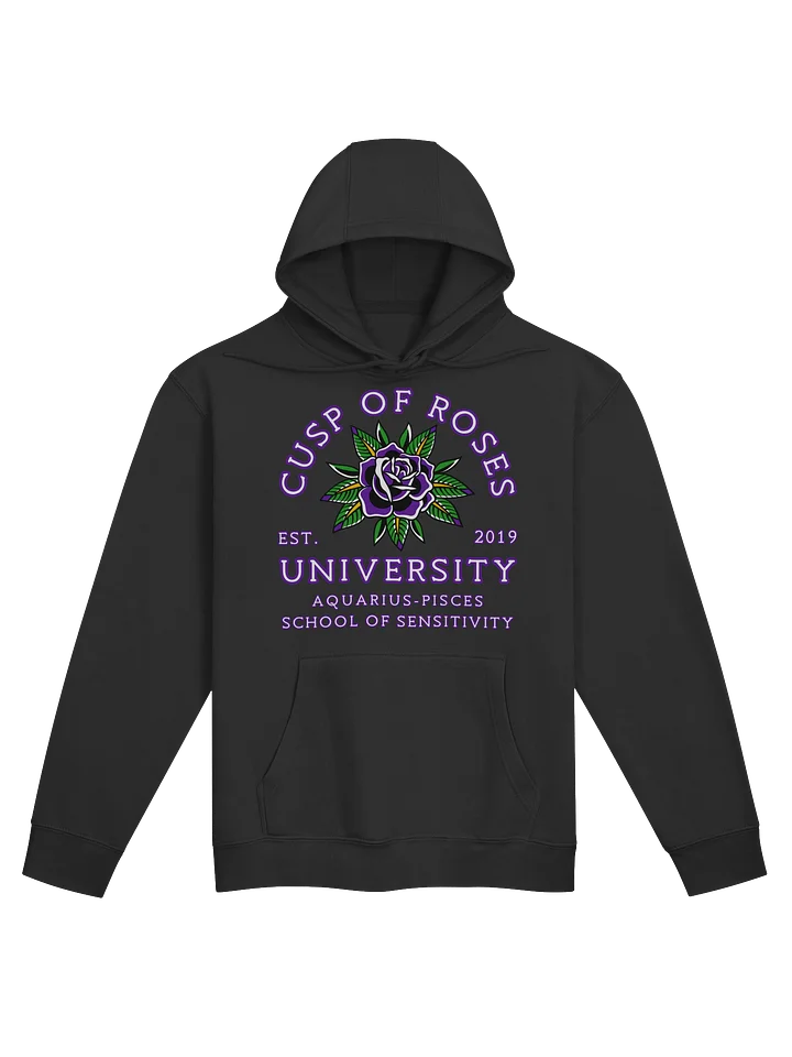 school of sensitivity hoodie product image (1)