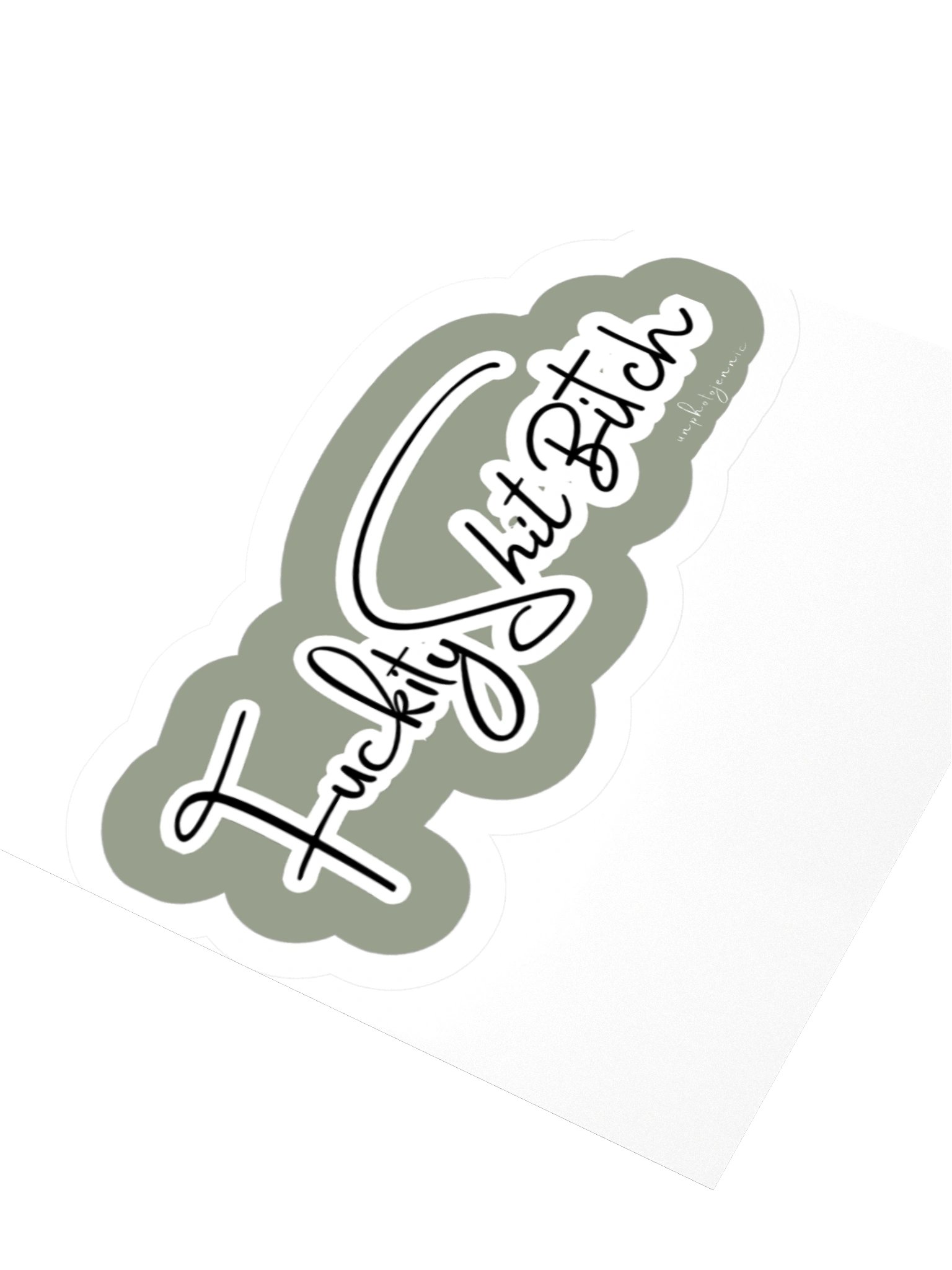 F***ity S**t B***tch Sticker product image (5)