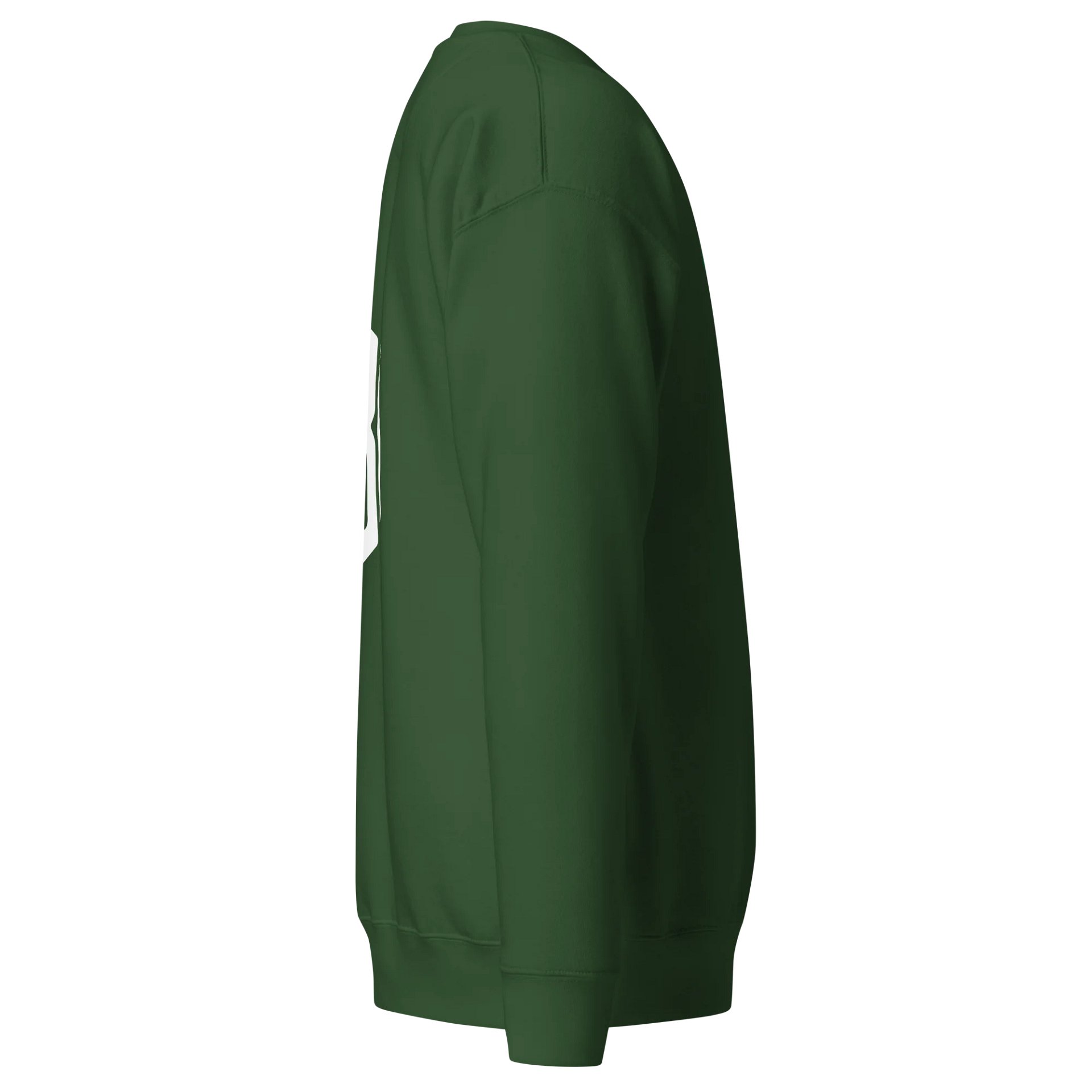 Lymbo Embroidered Sweatshirt (Green) product image (4)