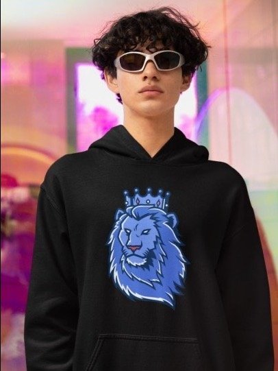 Cmlk printed vinyl logo hoodie product image (1)