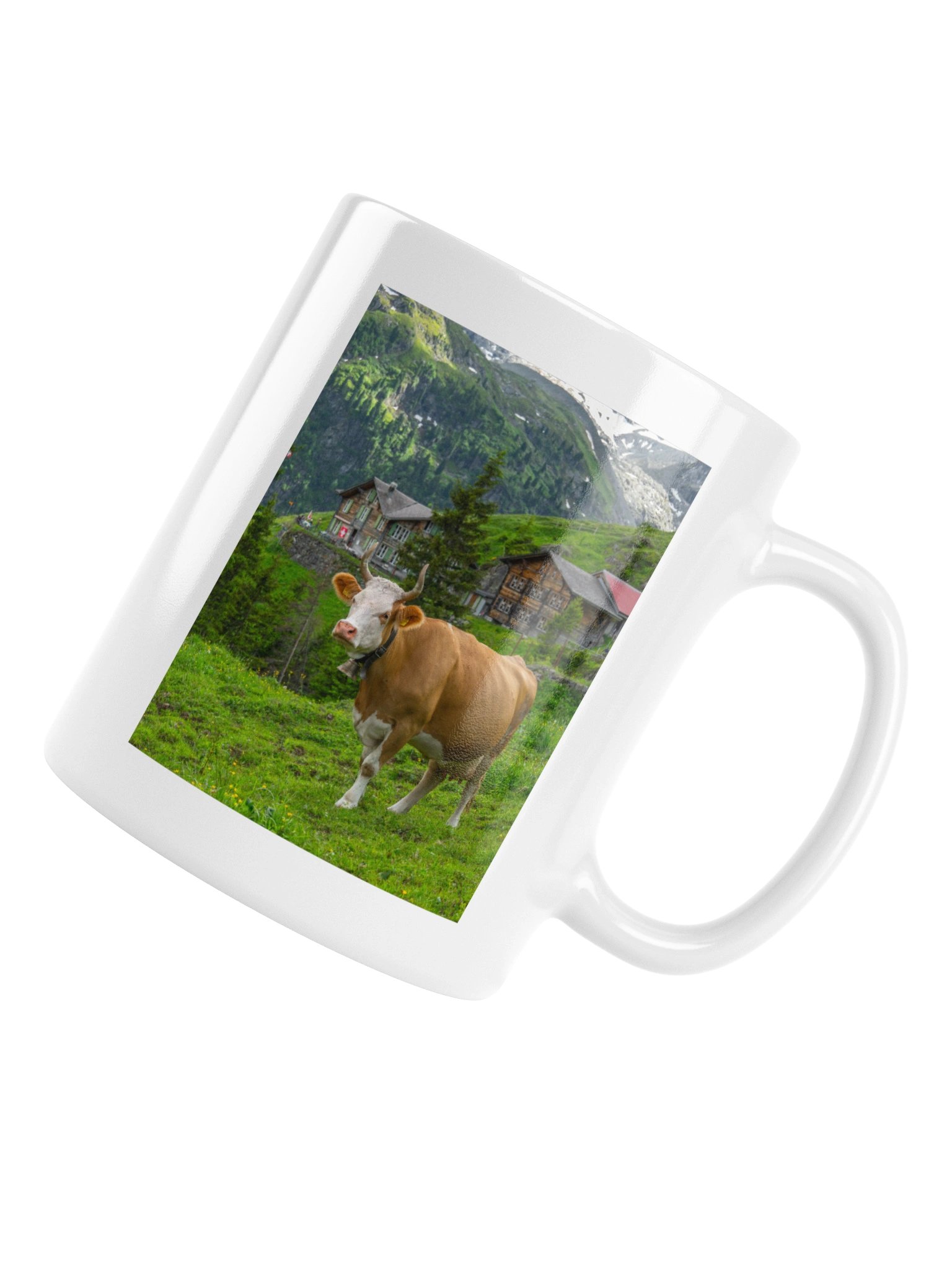 Cow in Obersteinberg product image (17)