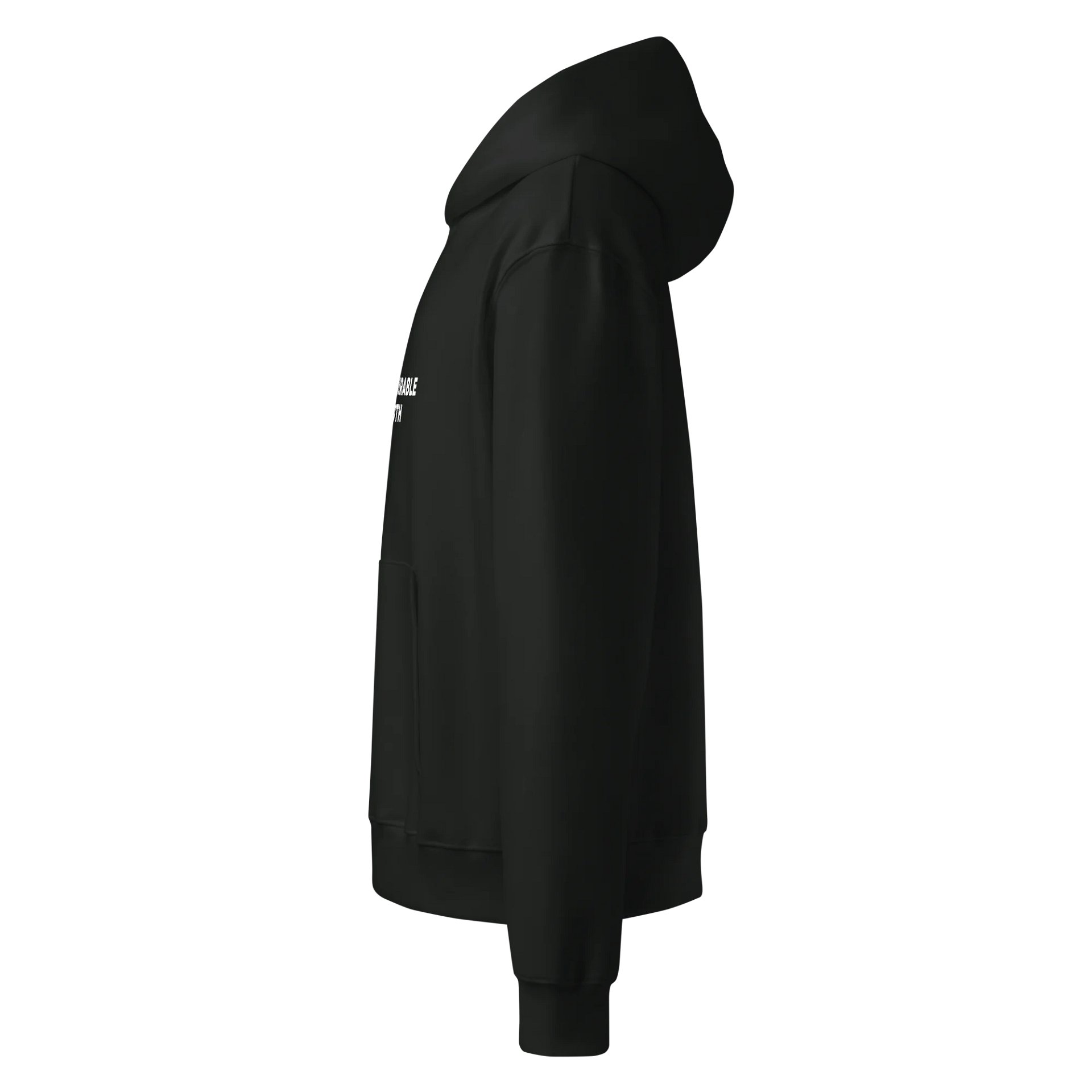 TDT Signature Hoodie product image (3)