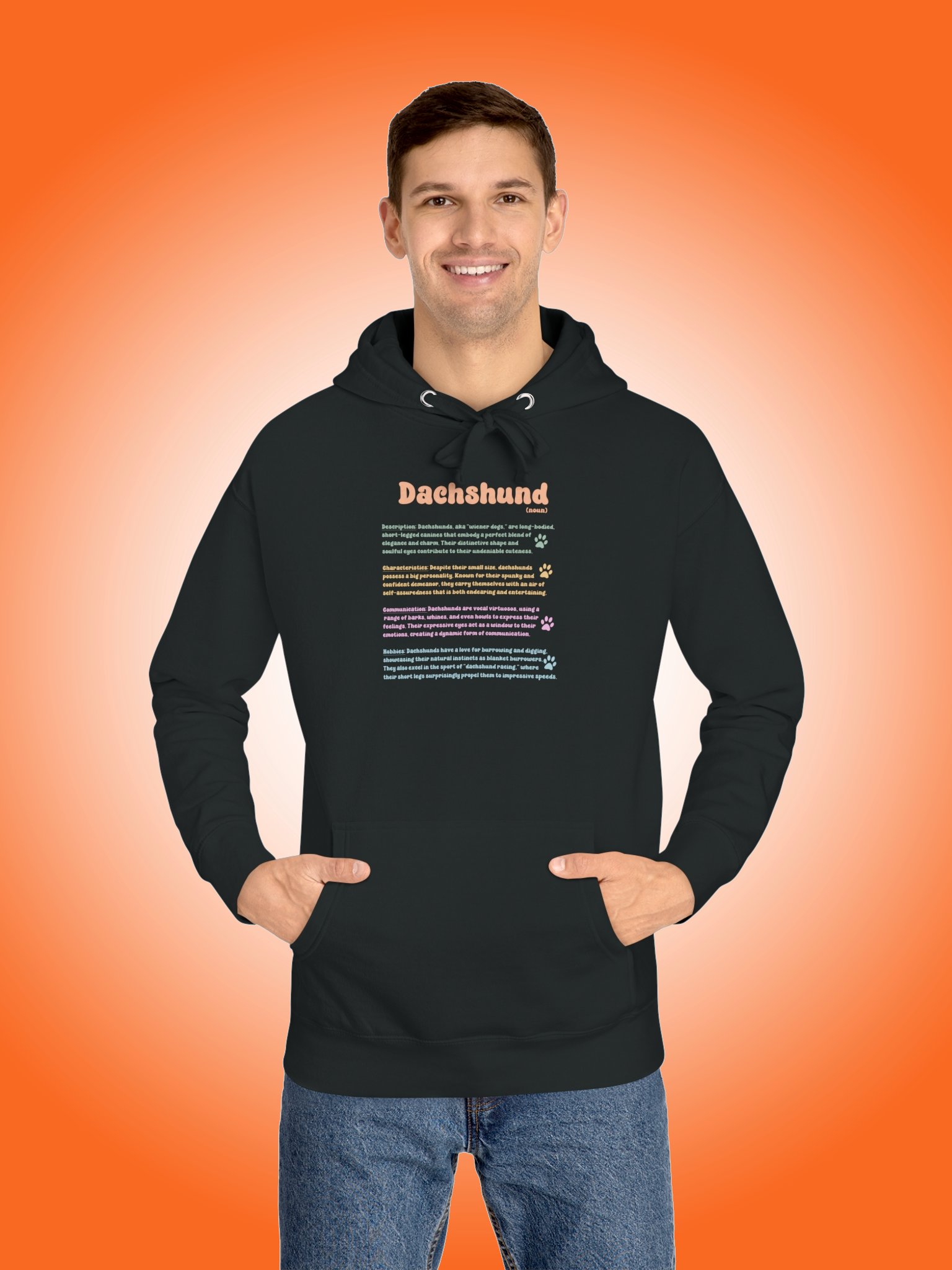 Definition of a Dachshund product image (1)