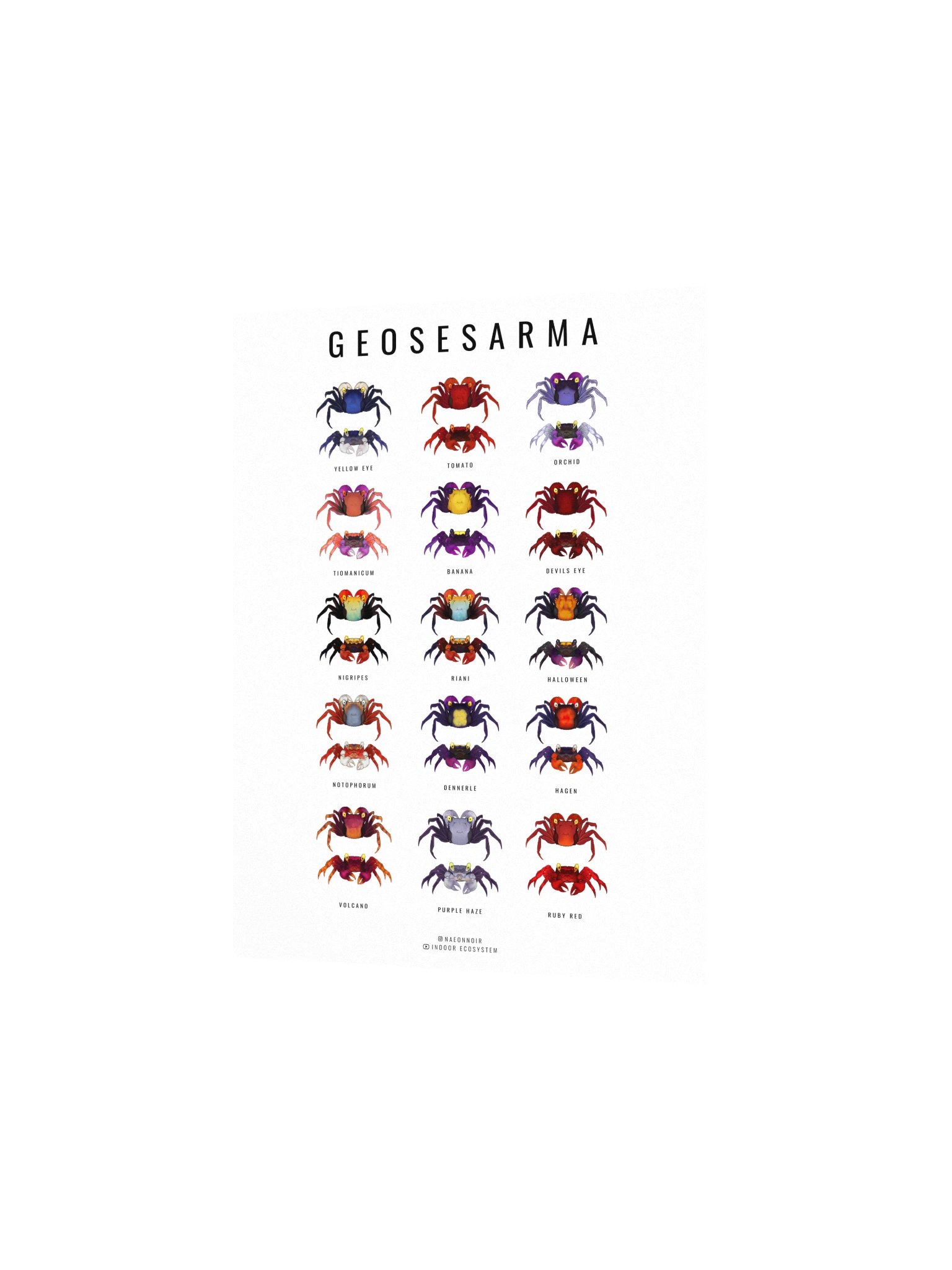 GEOSESARMA VAMPIRE CRAB POSTER (WHITE) product image (2)