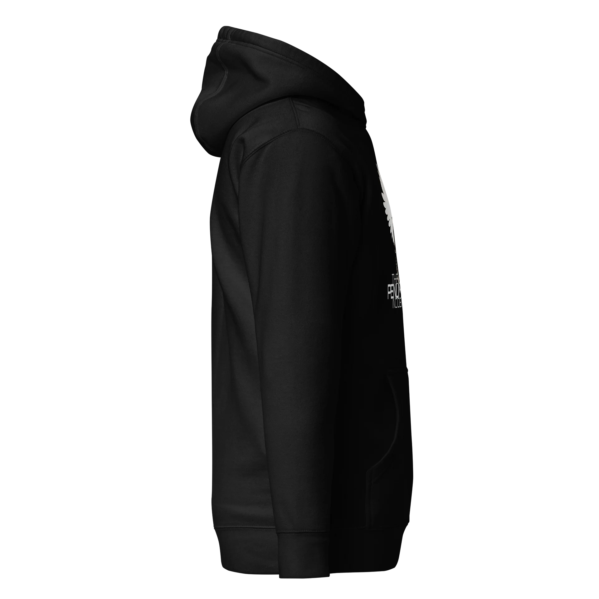 Hoodie - Among Strange Angels - Unisex product image (10)