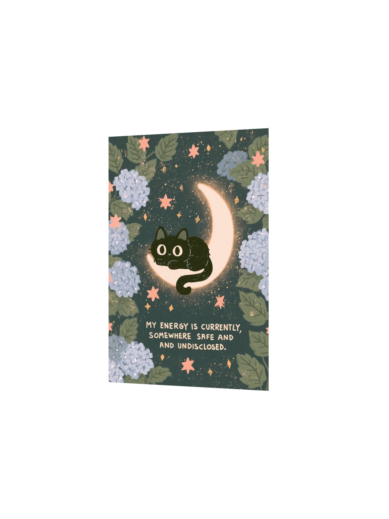 Safe & Undisclosed Cat Moon Poster product image (17)