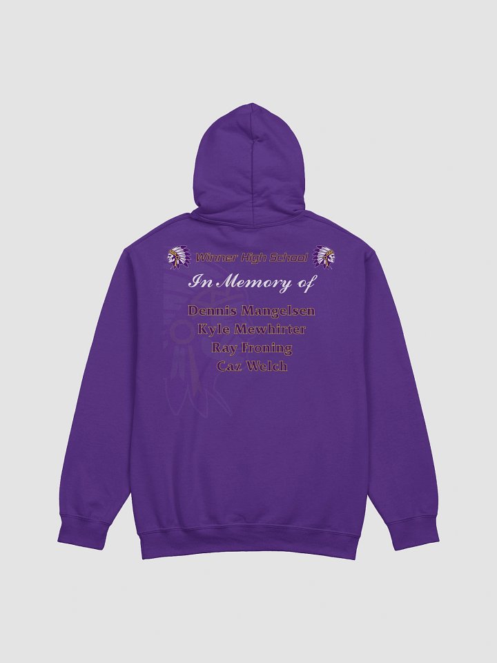 Class of 2000 Liquor Hoodie product image (2)