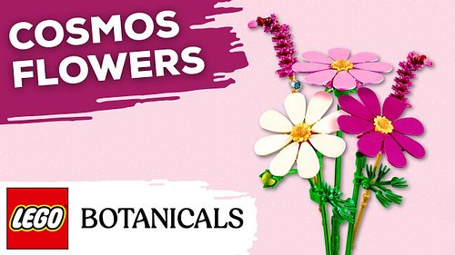 Lego Botanicals 11514 Cosmos Flowers (Unboxing & Review)

Today on DailyWeeklyBuilds, I’m unboxing, building and reviewing th...