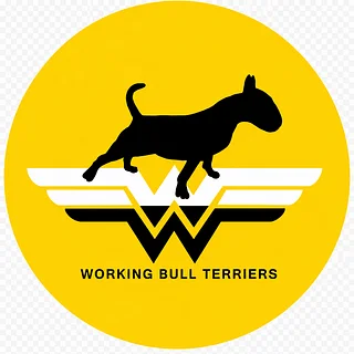 Working Bull Terriers Kennel