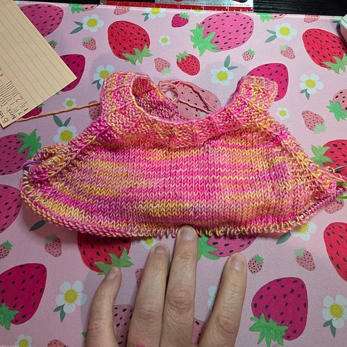 Actually started this Monday, July 20th, but forgot to post! A new tiny tank for my mini me!  Will name pattern later because...