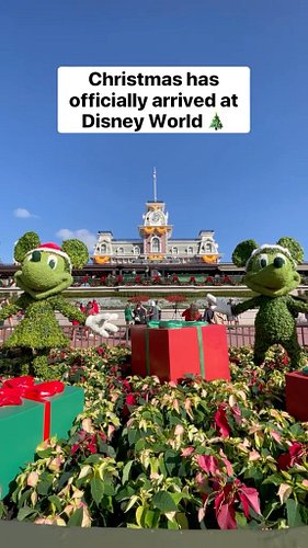 Make that Disney Christmas happen with no work and no extra cost for you. Contact me today for a free no obligation quote and...